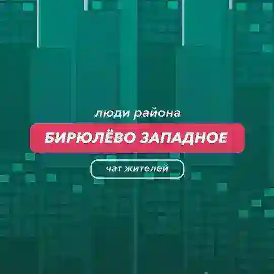 Бирюлёво Западное | чат района
