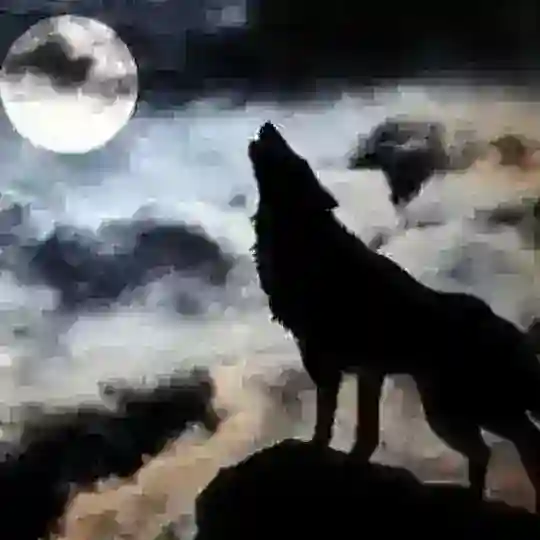 ⚡CANAVAR YIĞINI⚡