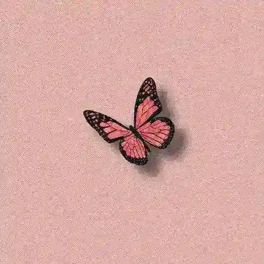 Cari Pacar Online 🦋