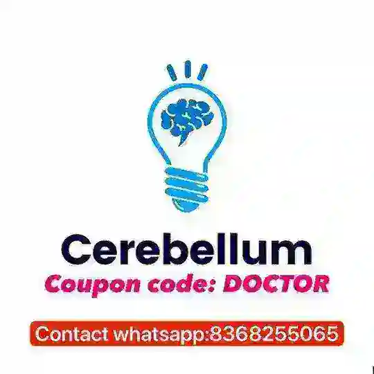 Cerebellum Academy