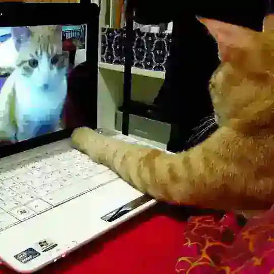 Чатик