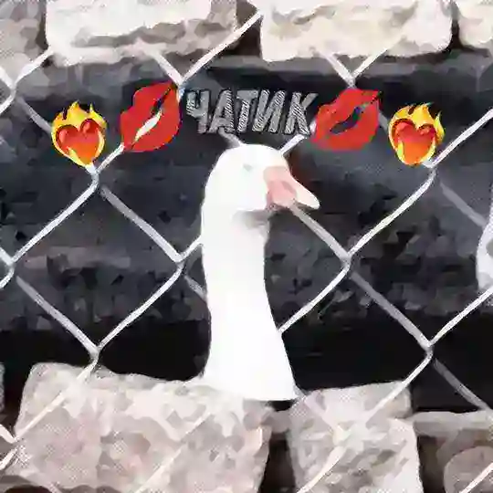 💋❤️‍🔥 (Чатик) ❤️‍🔥💋
