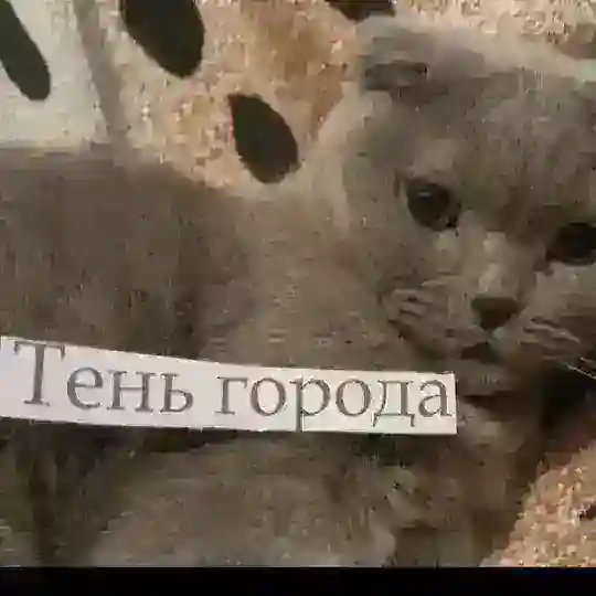 чат Тень Города