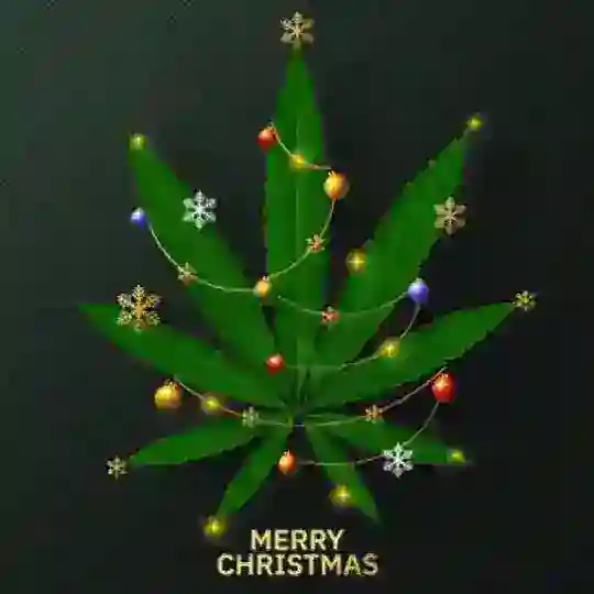 🎄Christmas Gift🎄