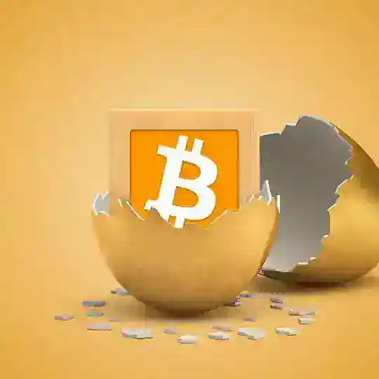 Bitcoin Community