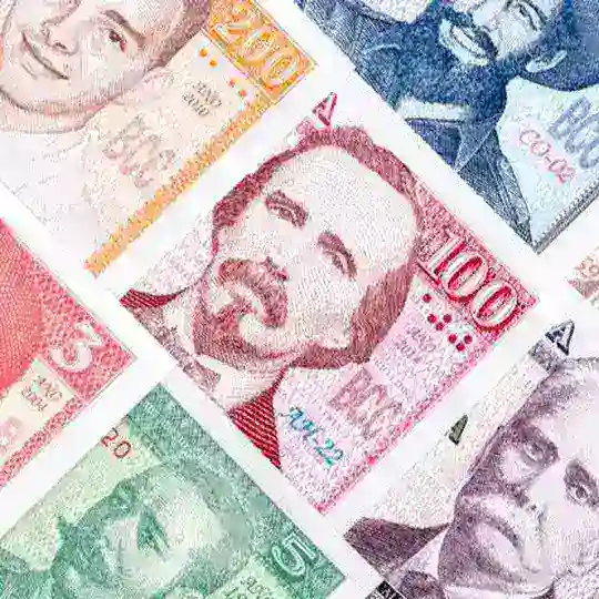 Ventas Pinar