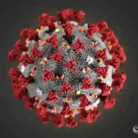 קבוצת הדיונים על וירוס הקורונה - coronavirus/COVID-19
