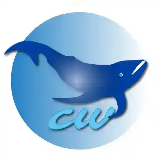 cryptowhales public chat