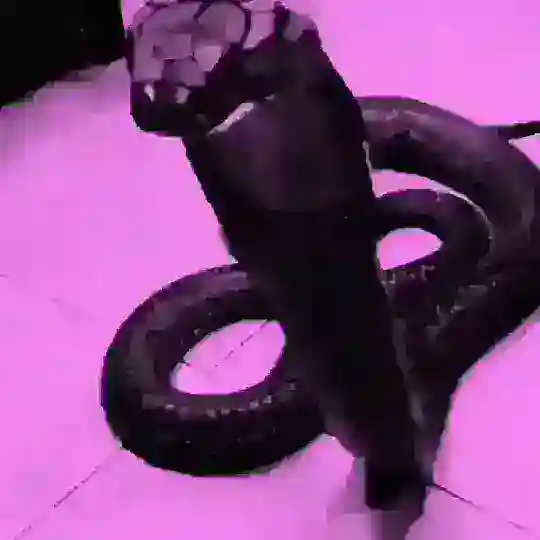 ๐ด ๐ท๐บ๐ธ C U B I N S K I E ๐บ๐ธ๐ท๐ด