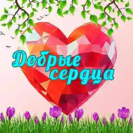 ❤️Добрые Сердца ❤️ 🧑🦽Помощь детям-инвалидам ДНР💕