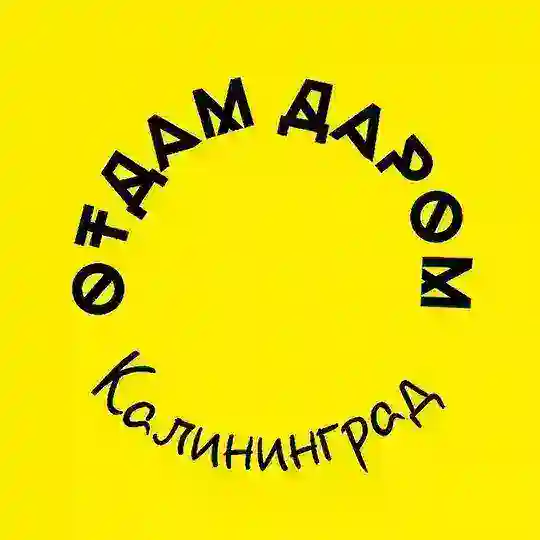 Отдам даром, Калининград