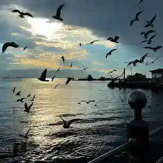 𝐃𝐞𝐧𝐠𝐞𝐬𝐢𝐳 𝐊𝐚𝐥𝐞𝐦 𝐘𝐨𝐫𝐮𝐦🇹🇷