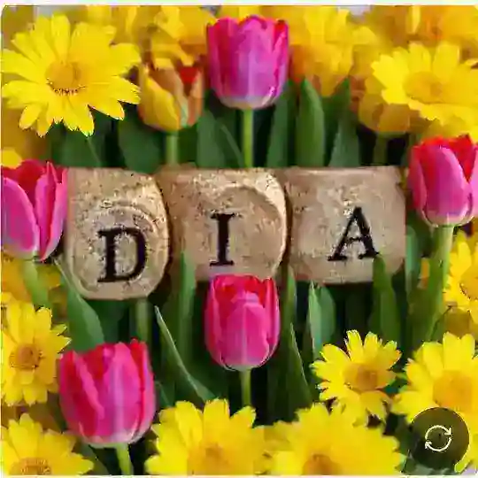 Diakids