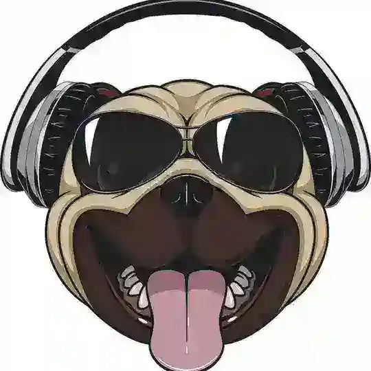 DISCOJOCKEYDOGE ▏KYC & Audit