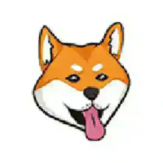 DogeSwap Token