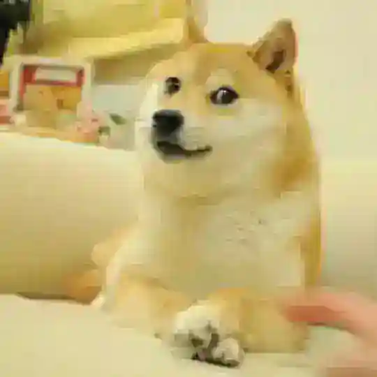 The Doge NFT Token