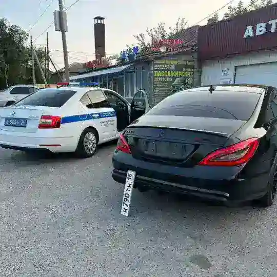 ДПС/ДТП Волгоград чат 🆘