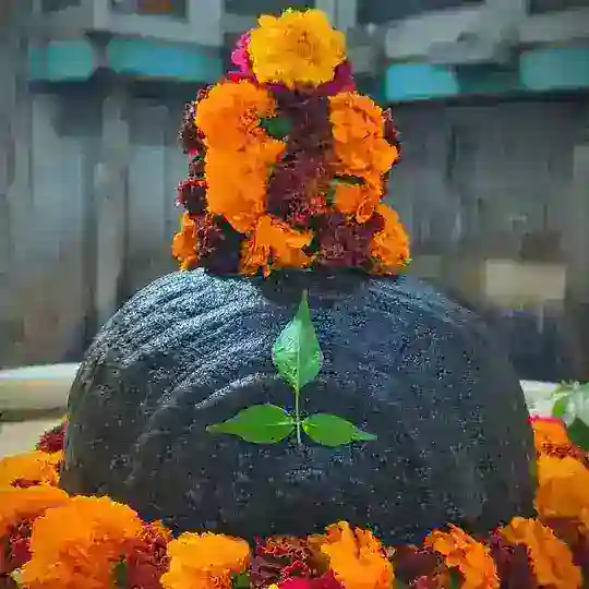 Uuui