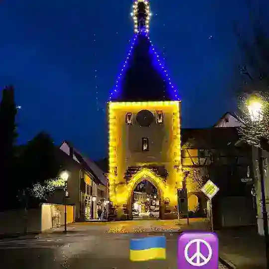 Наш Эндинген (чат)