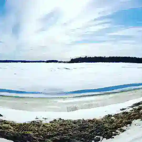 Españoles en Finlandia!