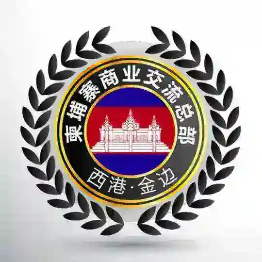 金边西港查车查房查护照资源共享