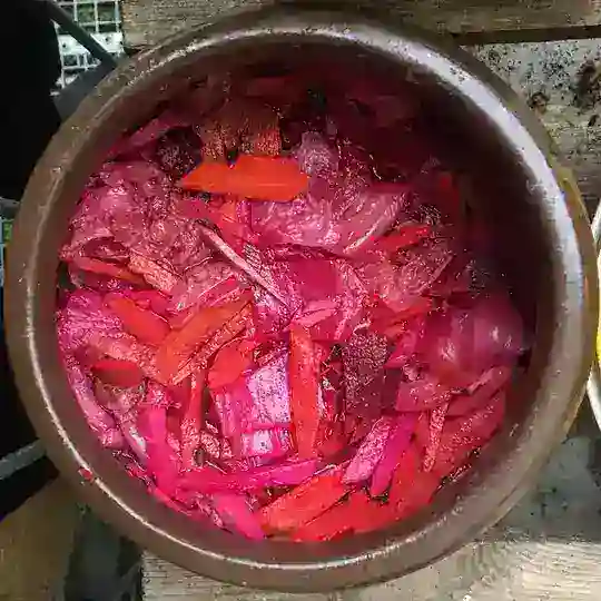 Fermentation - Fragen, Tauschen, Teilen