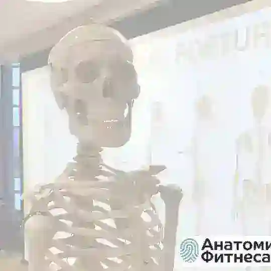 ФИТНЕС и ДВИЖЕНИЕ: вакансии, обмен опытом, законодательство