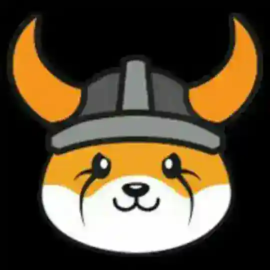 Floki Inu Token