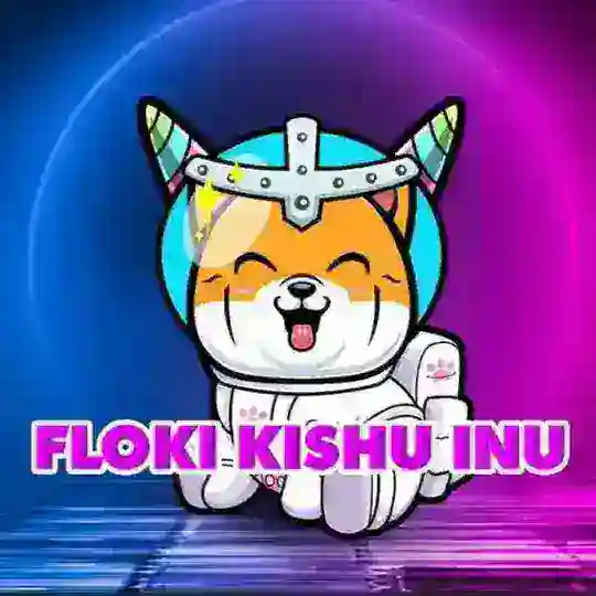 Floki Kishu Inu | San Francisco | 🇺🇸