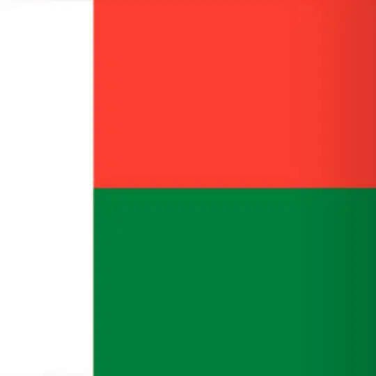 🇲🇬 Мадагаскар чат
