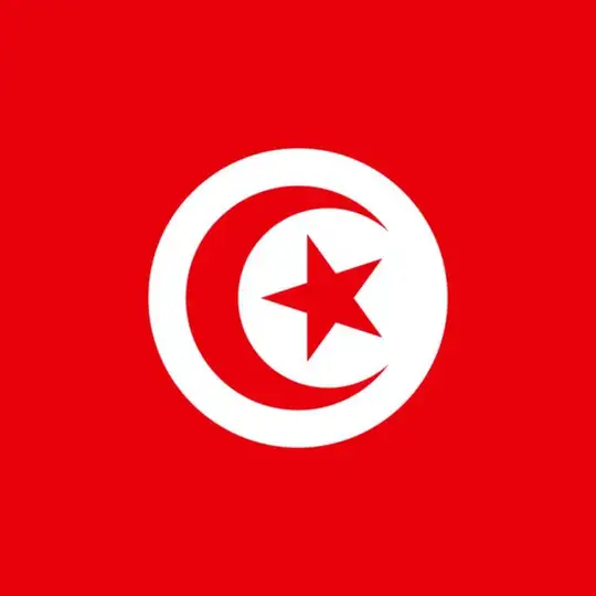 🇹🇳 Тунис чат