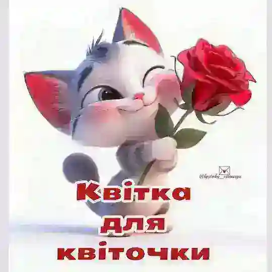 ЗНАЙОМСТВА ЧАТ. ФРАНКІВСЬК < >ЛЬВІВ
