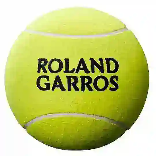 Roland Garros (Fr.Open 2025πΎ)