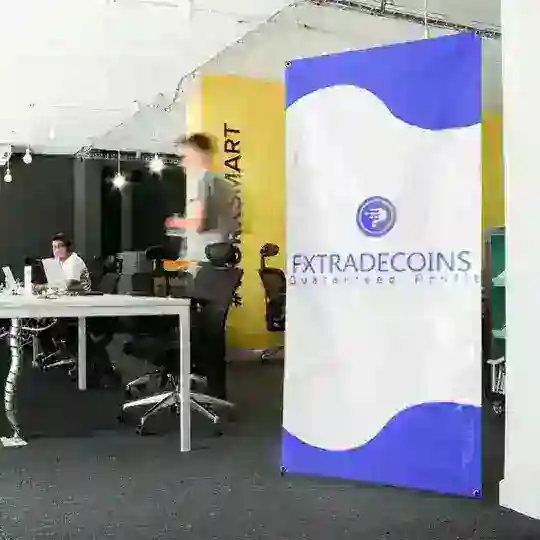 FX trade coins🌍