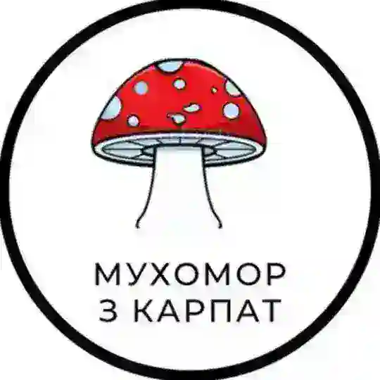 🍄 Мухомор з Карпат 🍄