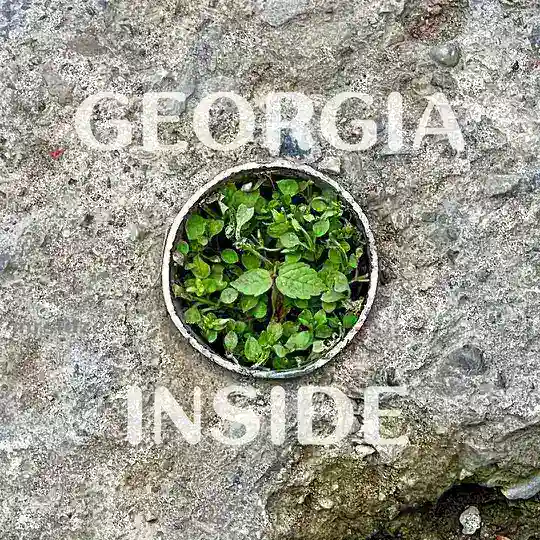 Грузия внутри Chat