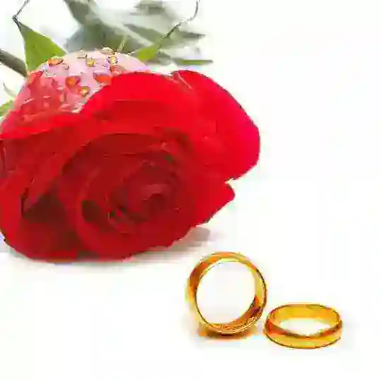 ازدواج موقت تبیان(نیکان)