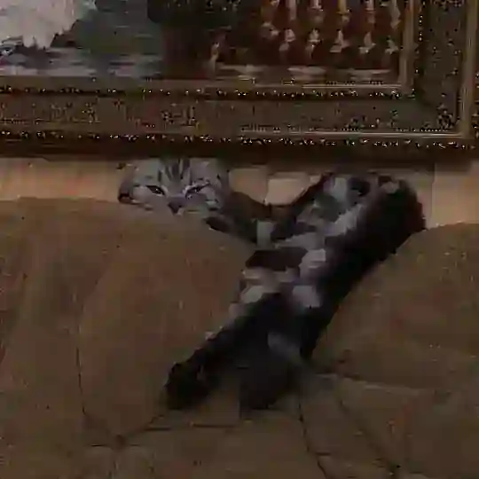 /_/БрУтАльное брЕвно/_/