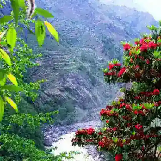 🏔 Гималаи | Касоль