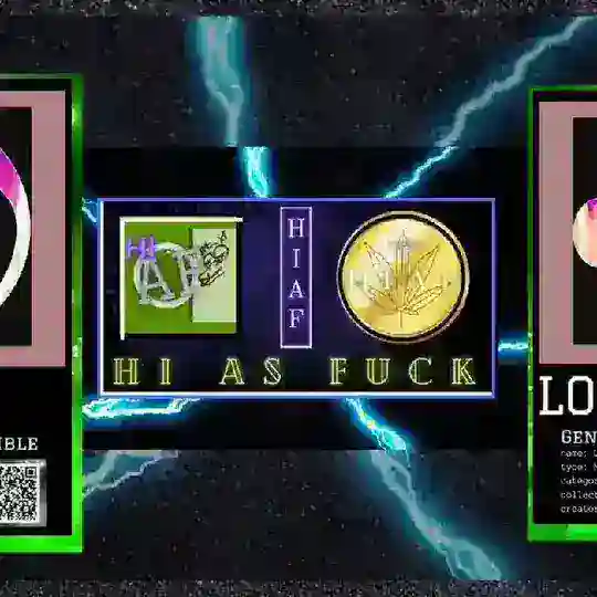설치한 체면 같은