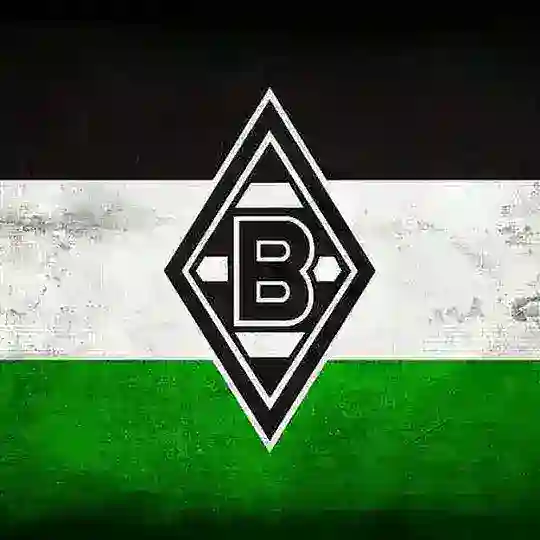 Чат фанатов Гладбаха