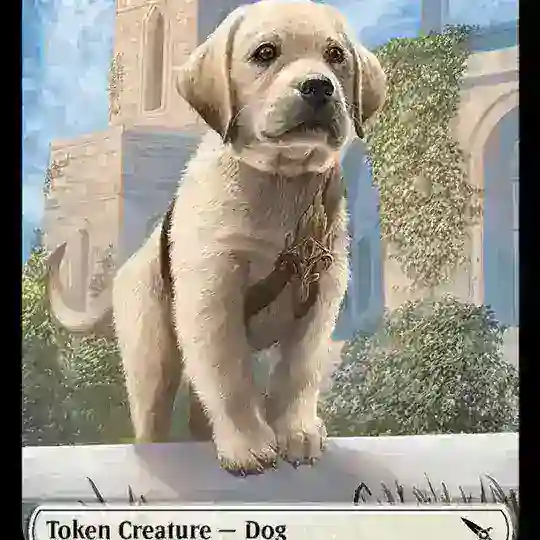 DOGS