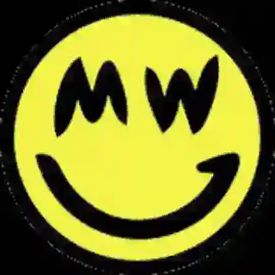 Grin Coin