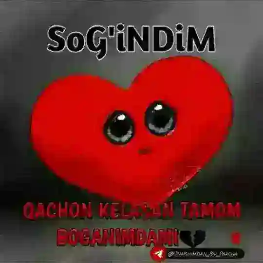 💞💞SEVGI , ARMON ♥️♥️♥️