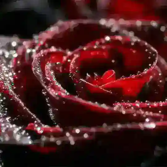 🧸꯭꯭𝐁꯭𝐞꯭𝐆꯭꯭𝐮꯭𝐁꯭𝐨꯭𝐑꯭🍃꯭𝐃꯭𝐨꯭𝐬꯭𝐓꯭꯭𝐋꯭𝐚꯭͡𝐑꯭꯭ ❤️🧸