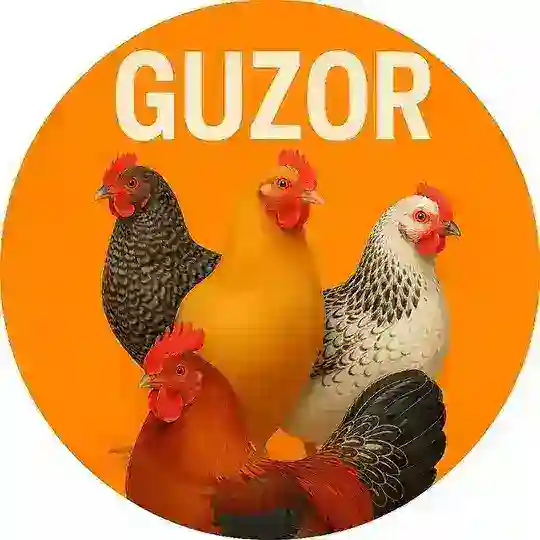 Guzor_paranda_bozori