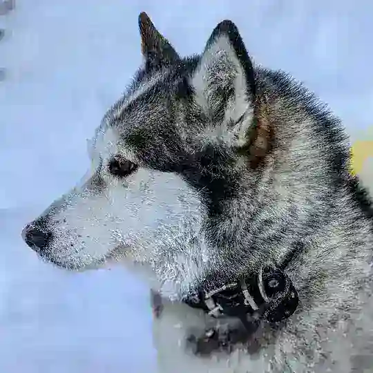 ХАТАНГА