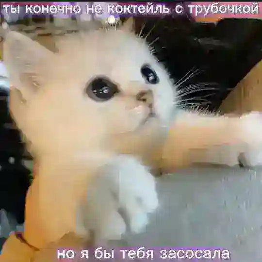 Чат Общения - интересный чатик Москва-Питер