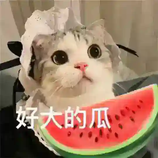 吃瓜新闻 海外曝光 搞笑视频 内涵段子 吃瓜群众