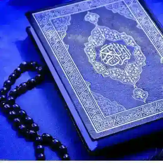 موسسه صیغه یابی و همسر یابی کوثر💍💍